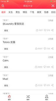 娱乐吃瓜酱网名大全,娱乐吃瓜酱带你领略独特ID风采