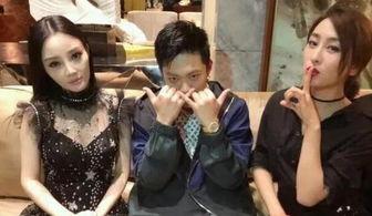 娱乐圈吃瓜小说陆家,娱乐圈风云再起，豪门恩怨背后的真相揭秘